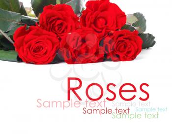 Bouquet of red roses, isolated on white