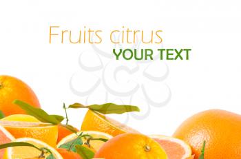 Fruits citrus on white