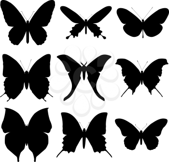 Butterfly silhouette set. Icon collection. 