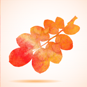Orange watercolor dog-rose leaf