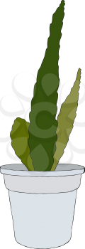Hand drawn cactus in a pot. Vector illustration.