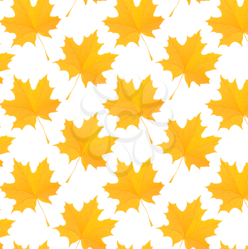 Royalty Free Clipart Image of a Maple Leaf Background
