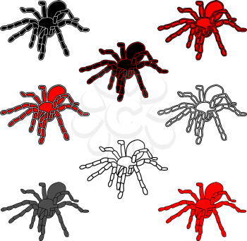 Royalty Free Clipart Image of a Bunch of Tarantulas