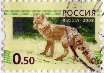 RUSSIAN-CIRCA 2008: A stamp printed in the Russian Federation, shows the fox (Vulpes vulpes), circa 2008
