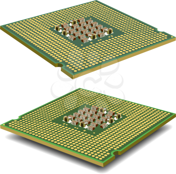 Computer  processor microcircuit isolated on a white background. Vector illustration. 