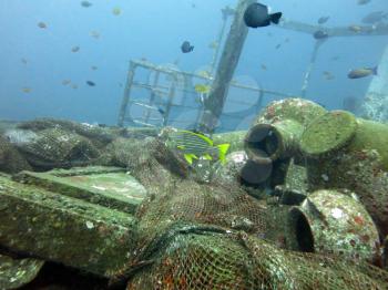 massive shipwreck, sits on a sandy seafloor in bali                
