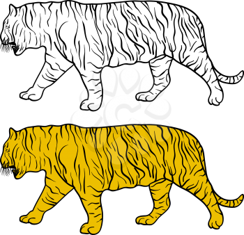 Sketch beautiful tiger on a white background. Vector illustration.