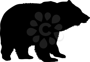 Silhouette brown bear on a white background.