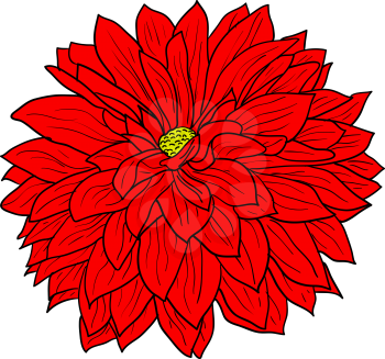 Beautiful color sketch, dahlia flower on a white background.