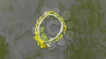 Wreath of dandelion flowers floats on water