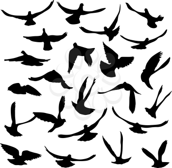 Concept of love or peace. Set of silhouettes of doves.