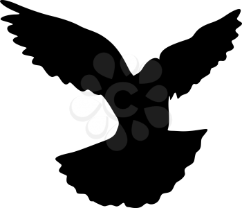 Concept of love or peace silhouettes doves.