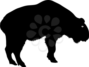Silhouette of the bison on a white background.