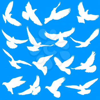 Concept of love or peace. Set silhouettes doves.