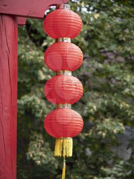 Hanging red lantern on the tree leaf background.