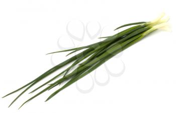 spring onion isolated on white backgroun close up