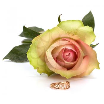 Beautiful rose with wedding ring  isolated on white background