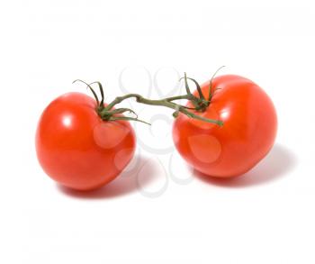 fasten tomato isolated on white background