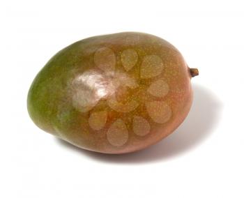single mango isolated on white background