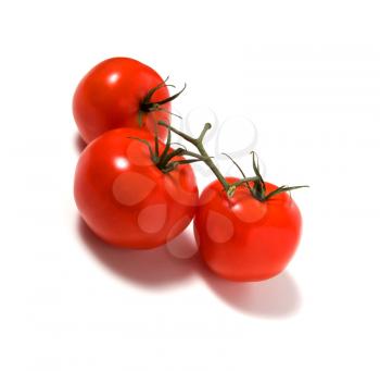 fasten tomato isolated on white background