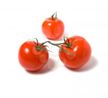 two tomato isolated on the white background