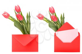 greeting card  with pink tulips  isolated on white background