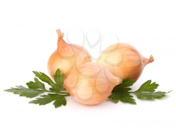 Onion  isolated on white background