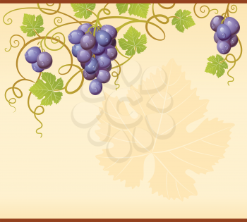 Royalty Free Clipart Image of Grape Vines