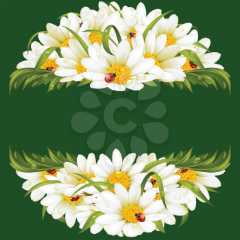 Vector circle frame with chamomile and ladybugs