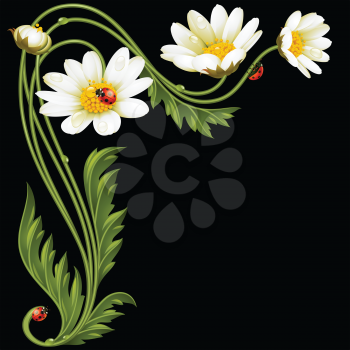 Vector corner pattern with daisies and ladybug