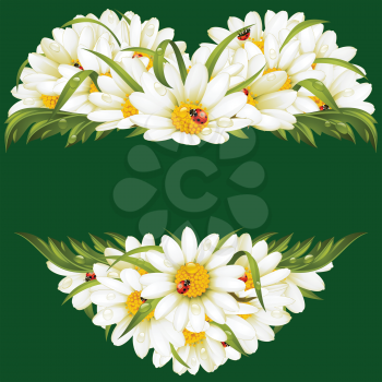 Vector chamomile frame in the shape of heart