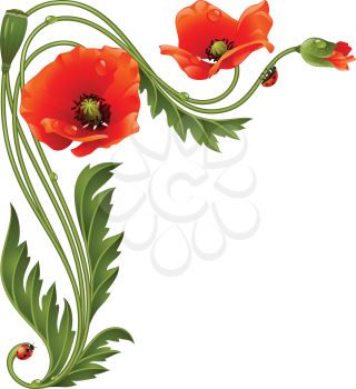Vector corner pattern with red poppies and ladybug