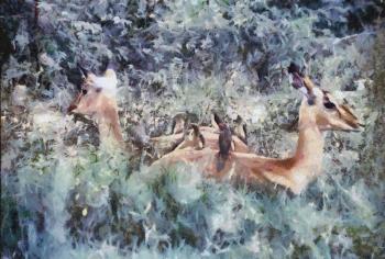 Royalty Free Photo of a Painting of Impalas