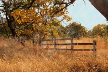 Royalty Free Photo of an Old Wooden Farm Fence 