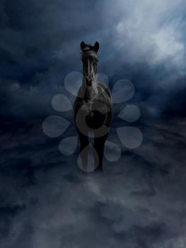 Royalty Free Photo of a Pegasus Steed Standing in Dark Storm Clouds