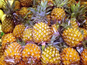 Royalty Free Photo of a Bunch of Pineapples