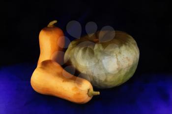 Royalty Free Photo of a Painting of Butternut Squashes and a Green Pumpkin  