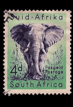 Royalty Free Photo of an Elephant Stamp
