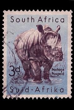 Royalty Free Photo of a White Rhinoceros Stamp