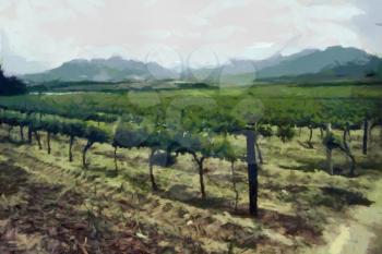 Royalty Free Photo of a Painting of a Vineyard
