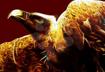 Royalty Free Photo of an Illustrations of a Flaming Vulture