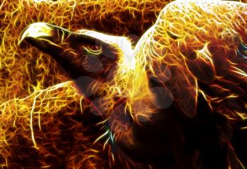 Royalty Free Photo of an Illustration of a Flaming Vulture