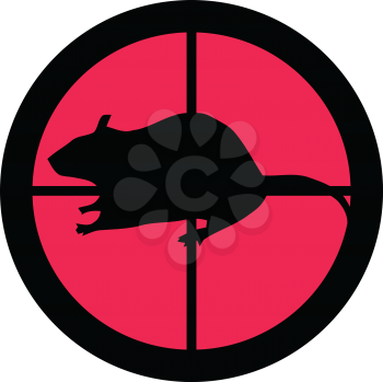 In the scope series – Rat in the crosshair of a gun’s telescope. Can be symbolic for need of protection, being tired of, intolerance or being under investigation.
