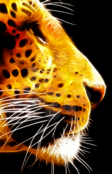 Artistic neon isolated close-up image of side profile of Leopard face Vector