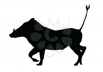 Isolated Silhouette Warthog Running with Tail in Air