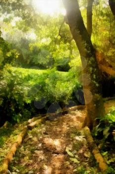 Painting of Demarcated Tropical Hiking Path with Sun Rays