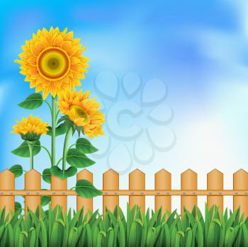 Royalty Free Clipart Image of a Summer Scene With a Sunflower and Fence