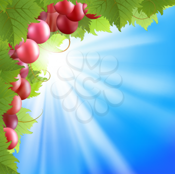 Royalty Free Clipart Image of a Grapevine Against a Blue Sky