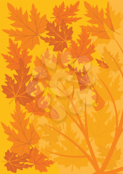 Royalty Free Clipart Image of an Autumn Maple Leaf Background
