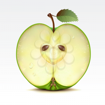 Royalty Free Clipart Image of a Half a Green Apple